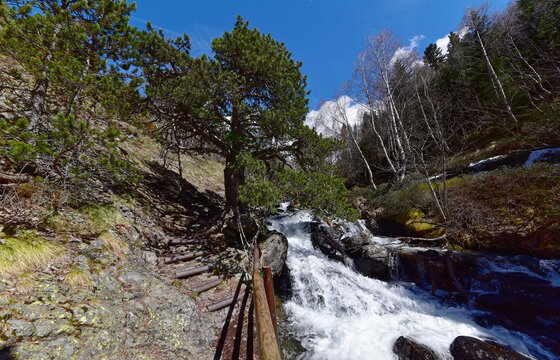 Andorra - Ordino - Parc Natural de la Vall de Sorteny - Wanderweg
