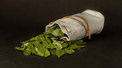Erythroxylum coca. La COCA no es cocaina. Hojas de COCA secas que sirven para el ACULLICO  pijcho, ...