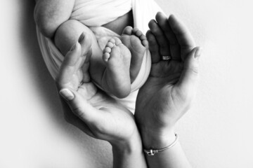 The palms of the mother are holding the foot of the newborn baby in a blanket. Feet of the newborn on the palms of the parents. Studio macro photo of a child's toes, heels and feet. Black and white.