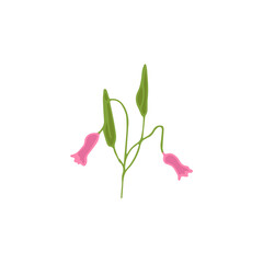 Hand drawn doodle floral element, colored abstract plant for decoration, isolated vector illustration