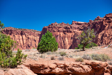 Capitol Reef National Park, Utah. Red rocks under a blue summer sky.