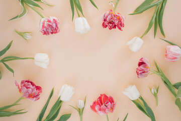 Round border frame of various tulips on a pastel beige background. Flat lay, top view floral festive holiday concept.