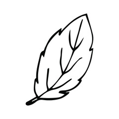 Food items - Apple. Vector doodle illustration in eps10