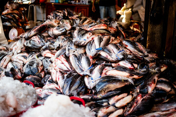 Freshwater fish from the Sarawin River Available for sale in the fresh market, Mae Sot District, Tak Province, Thailand