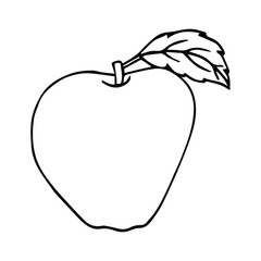 Food items - Apple. Vector doodle illustration in eps10