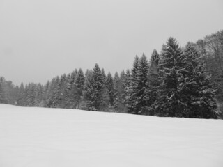 Thüringer Landschaft