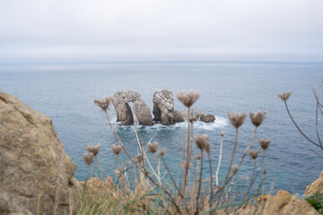 amazing stone formations in the sea coast in Cantabria