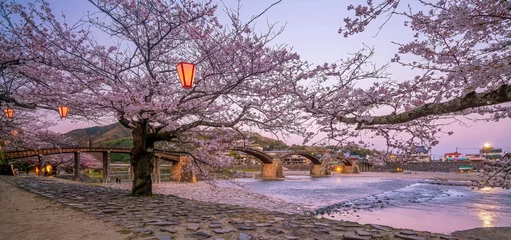Papier Peint photo autocollant Le pont Kintai Cherry blossom at Kintaikyo bridge Iwakuni city, Japan
