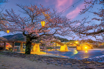 Cherry blossom at Kintaikyo bridge Iwakuni city, Japan