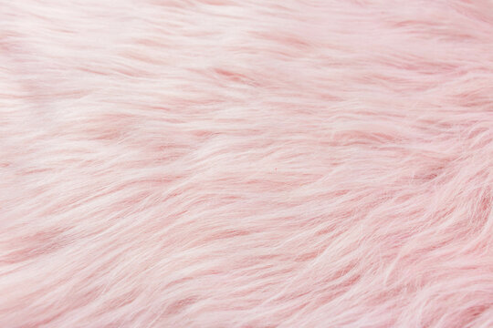Top view of pink fur texture, pink sheepskin background.