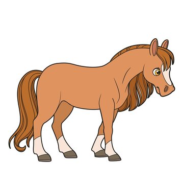 Cute cartoon horse color variation isolated on white background