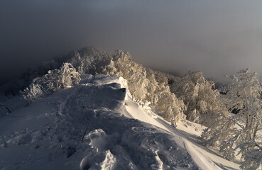 Bieszczady, Karpaty, Polska