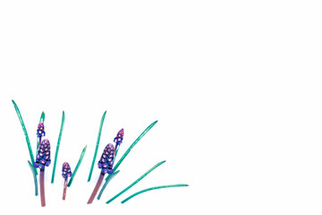 spring colorful flowers hyacinths . floral collection.