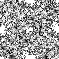 Botanical vector illustration, summer lilium flowers, bouquet of flowers, line art style, romantic decoration, light  background, seamless pattern, Handmade