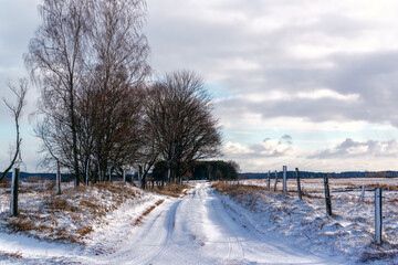 Łagodna zima w Dolinie Narwi, Podlasie, Polska © podlaski49