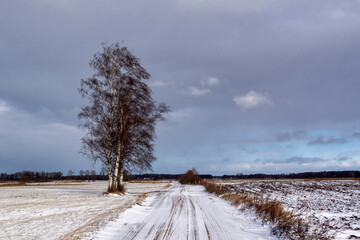 Łagodna zima w Dolinie Narwi, Podlasie, Polska © podlaski49