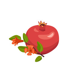 Icon of whole and half red pomegranate with seeds and branch with leaves. Healthy fruits for proper nutrition. Sweet food for diet. Vector flat illustration