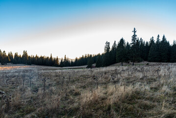 Autumn evening on Stredna polana bellow Velky Choc hill in Chocske vrchy mountains in Slovakia © honza28683