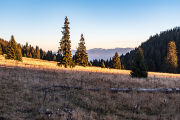 Stredna polana bellow Velky Choc hill with Nizke Tatry mountains on the background in Slovakia © honza28683