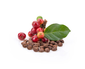 Roasted coffee bean and fesh coffee bean on white background