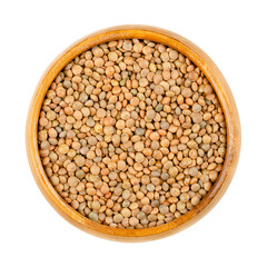 Brown lentils in a wooden bowl. Mountain lentils, Lens culinaris (Lens esculenta), small brown-red lentils with delicate speckles on a shiny surface, are relatively waxy, sweet and taste a bit spicy.