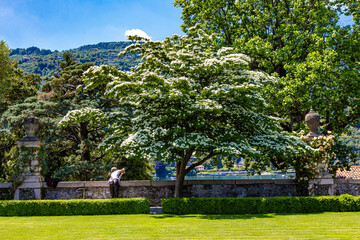 I giardini dell'Isola Bella sul Lago Maggiore