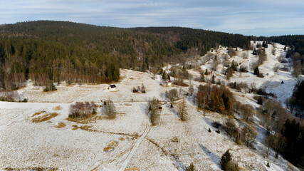 A small, mid-forest clearing in the Golden Mountains (Poland)