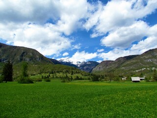 Fototapeta premium Beautiful Bohinj countryside with a meadow and trees in front and snow covered peak in the background and white clouds in blue sky in Gorenjska, Slovenia
