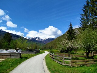 Fototapeta na wymiar Paved road leading through Bohinj countryside in spring in Gorenjska, Slovenia and forest covered hill and snow covered peak behind