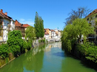 Fototapeta na wymiar Ljubljanica river flowing through Ljubljana city in Slovenia and the Franciscan Church of the Annunciation and a reflection of the buildings in the river