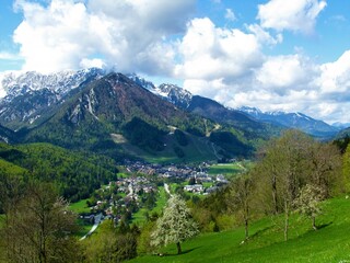 Naklejka premium View of a small alpine town Kranjska Gora in Julian alps and Triglav national park, Gorenjska, Slovenia and snow covered mountain peak rising above and a meadow with a white flowering tree