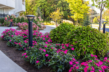 Fototapeta na wymiar Beautiful plants and flowers in front of residential house in Ottawa, Canada in summer . Landscape near apartment building.