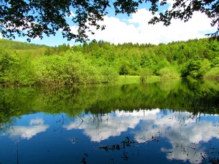 Beautiful view of lake Cerknica in Notranjska, Slovenia with vegetation in bright green foliage on the banks and a reflection of the blue sky and white clouds in the lake