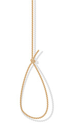 Illustration of rope with hangman's knot