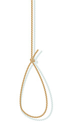 Illustration of rope with hangman's knot