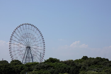 観覧車と森の風景