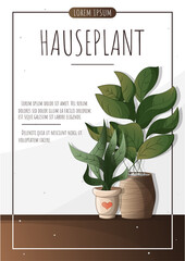 Set of plants in pots. Set of houseplants. Houseplant in a pot. Houseplant, home garden, gardening, plant lover, houseplant store concept, greenhouse.	A4 vector illustration
