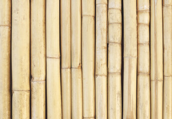 White bamboo fence texture background, pattern of natural wall for design art work.