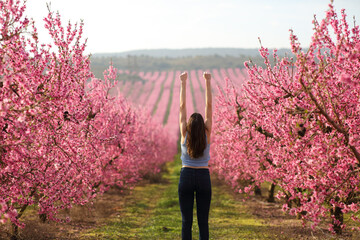 Back view of a excited female raising arms in a pink flowers field