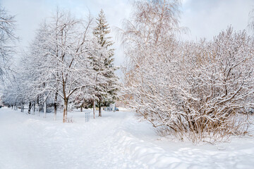 A city street in Russia in winter, snow trees and a road