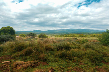 Scenic field against sky in the moorland ecological zone of Aberdare National Park, Kenya 