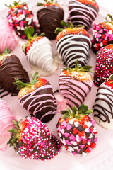 Chocolate dipped strawberries