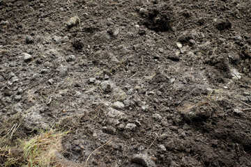 Soil in a plowed field (eastern Poland, near Slawatycze)