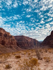 Fototapeta premium Blick aus dem Grand Canyon