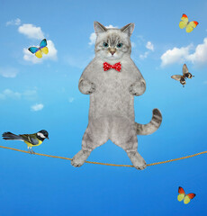 An ashen cat acrobat with a pole is walking on the tightrope. A bird is on the rope. Sky background.