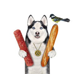 A dog husky holds a dried sausage and a loaf of bread. White background. Isolated.