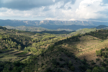 Fototapeta premium Views of the Priorat mountains with Gratallops and the Montsant mountain range in the background.