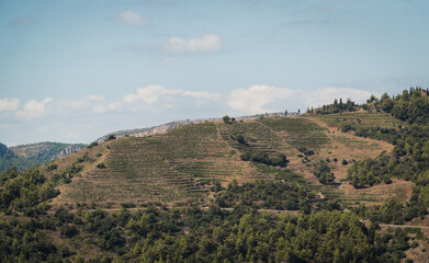 Fototapeta na wymiar Montsant mountain range views.Priorat, Catalonia (Spain).
