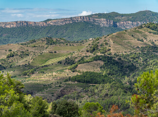 Fototapeta na wymiar Montsant mountain range views. Priorat, Catalonia (Spain).