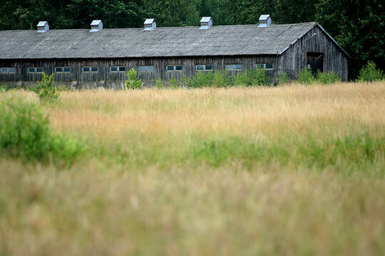 An old barn by meadows in the Kuyavian-Pomeranian Voivodeship